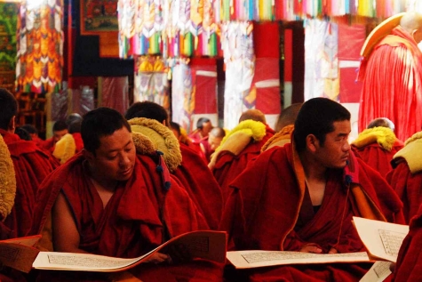 tibet